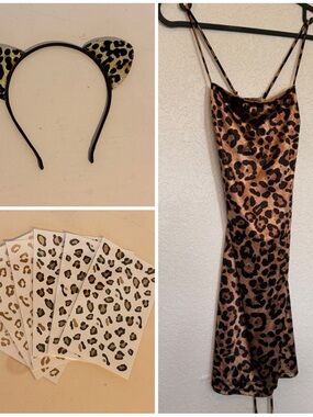 Women’s Leopard Halloween Costume Set